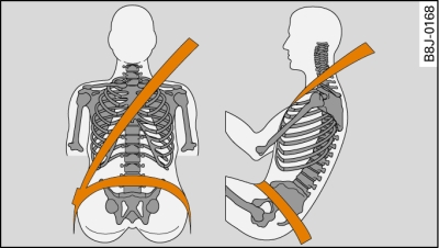 Positionnement de la sangle baudrier et de la sangle sous-abdominale